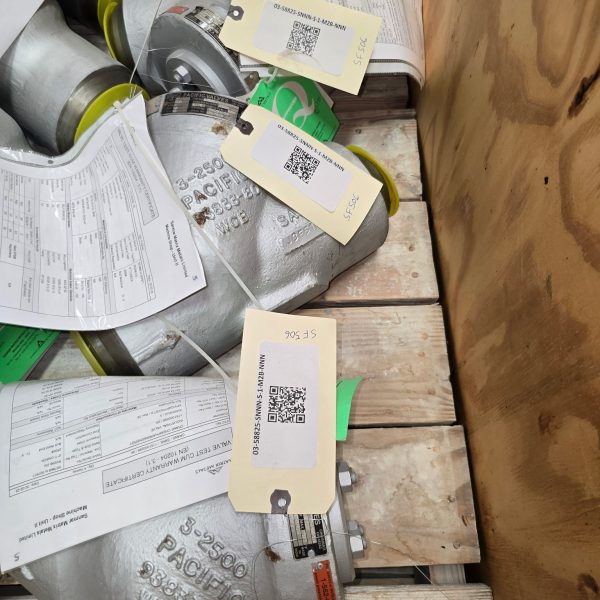 Crane Pacific 3" Check Valve, 2500#, WCB, 03-58825-SNNN-S-1-M2B-NNN