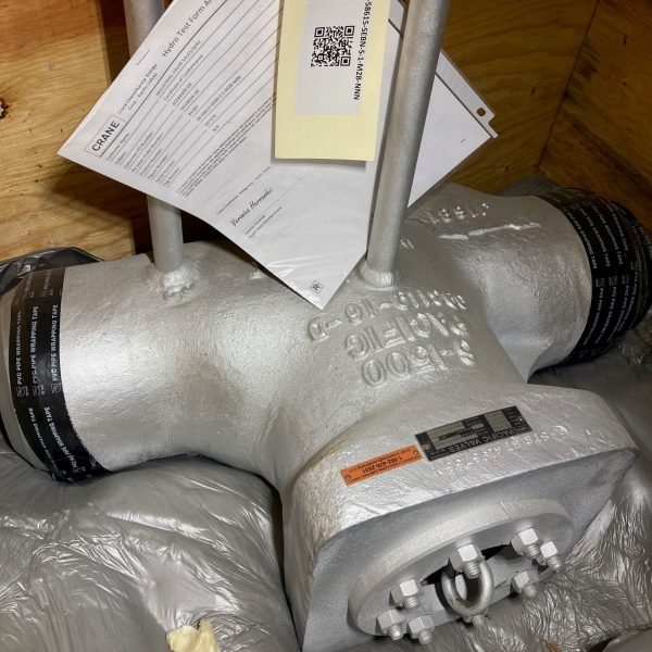 Crane Pacific 6" Check Valve, 1500#, WCB, 06-58615-SEBN-S-1-M2B-NNN