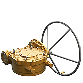 1S TYPE Standard Type-A - Worm Gear