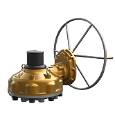 1S TYPE Standard Type-A